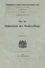 Über die Elektrizität der Niederschläge