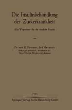 Die Insulinbehandlung der Zuckerkrankheit: 〈Ein Wegweiser für die ärztliche Praxis〉