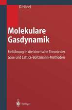 Molekulare Gasdynamik: Einführung in die kinetische Theorie der Gase und Lattice-Boltzmann-Methoden