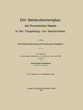 Der Steinkohlenbergbau des Preussischen Staates in der Umgebung von Saarbrücken: V. Teil. Die Kohlenaufbereitung und Verkokung im Saargebiet