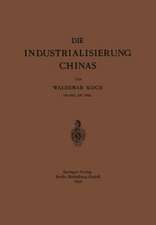 Die Industrialisierung Chinas