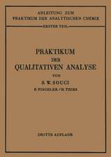 Praktikum der qualitativen Analyse