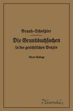 Die Grundbuchsachen in der gerichtlichen Praxis einschließlich Aufwertung der Grundstückspfandrechte