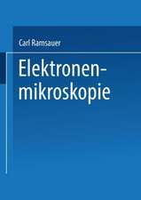 Elektronenmikroskopie: Bericht über Arbeiten des AEG Forschungs-Instituts 1930 bis 1941