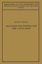 Anatomie und Physiologie der Capillaren