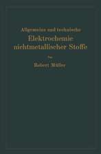 Allgemeine und technische Elektrochemie nichtmetallischer Stoffe