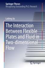 The Interaction Between Flexible Plates and Fluid in Two-dimensional Flow