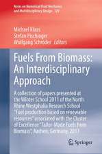 Fuels From Biomass: An Interdisciplinary Approach: A collection of papers presented at the Winter School 2011 of the North Rhine Westphalia Research School 