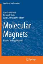 Molecular Magnets