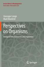 Perspectives on Organisms: Biological time, Symmetries and Singularities