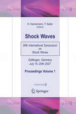 Shock Waves: 26th International Symposium on Shock Waves, Volume 1