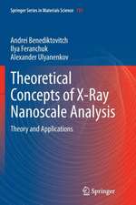 Theoretical Concepts of X-Ray Nanoscale Analysis: Theory and Applications