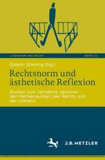 Rechtsnorm und ästhetische Reflexion: Studien zum Verhältnis zwischen den Hermeneutiken des Rechts und der Literatur