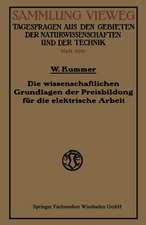 Die wissenschaftlichen Grundlagen der Preisbildung für die elektrische Arbeit