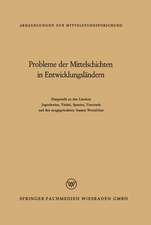 Probleme der Mittelschichten in Entwicklungsländern: Dargestellt an den Ländern Jugoslawien, Türkei, Spanien, Venezuela und den neugegründeten Staaten Westafrikas