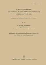 Einfluß der Oberflächenbeschaffenheit der Wandung auf den Ablauf von Azetylenexplosionen