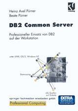 DB2 Common Server: Professioneller Einsatz von DB2 auf der Workstation