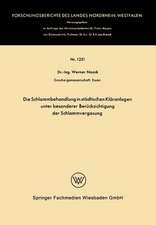 Die Schlammbehandlung in städtischen Kläranlagen unter besonderer Berücksichtigung der Schlammvergasung