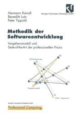 Methodik der Softwareentwicklung: Vorgehensmodell und State-of-the-Art der professionellen Praxis