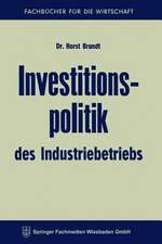 Investitionspolitik des Industriebetriebs