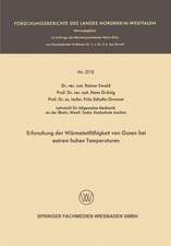 Erforschung der Wärmeleitfähigkeit von Gasen bei extrem hohen Temperaturen