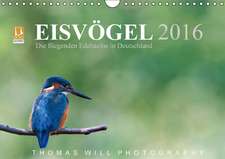 Eisvögel - Die fliegenden Edelsteine in Deutschland / 2016 (Wandkalender 2016 DIN A4 quer)