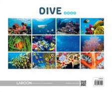 Dive 2027