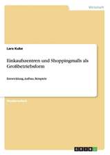 Einkaufszentren und Shoppingmalls als Großbetriebsform