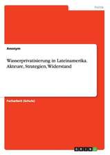 Wasserprivatisierung in Lateinamerika. Akteure, Strategien, Widerstand