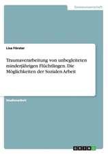 Traumaverarbeitung Von Unbegleiteten Minderjahrigen Fluchtlingen. Die Moglichkeiten Der Sozialen Arbeit