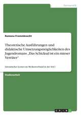 Theoretische Ausführungen und didaktische Umsetzungsmöglichkeiten des Jugendromans 