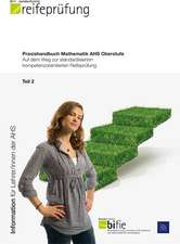 Praxishandbuch Mathematik AHS Oberstufe - Teil 2