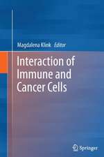 Interaction of Immune and Cancer Cells