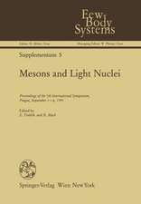 Mesons and Light Nuclei: Proceedings of the 5th International Symposium, Prague, September 1–6, 1991