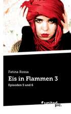 Eis in Flammen 3