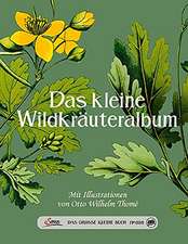 Das große kleine Buch: Das kleine Wildkräuteralbum