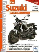 Suzuki Gladius 650 ccm V2 neues Modell