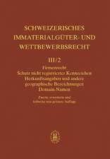 Firmenrecht, Schutz nicht registrierte Kennzeichen, Herkunftsangaben und andere geographische Bezeichnungen, Domain-Namen