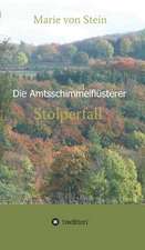 Stein, M: Stolperfall