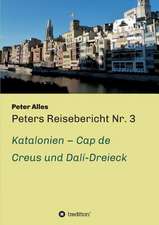 Peters Reisebericht NR. 3: Wie Ich Meine Chronischen Krankheiten, Konflikte Und Krisen Heilte Und Meine Kuhnsten Traume Ubertraf