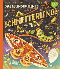 Das Wunder eines Schmetterlings - Wie sich die Natur verwandelt