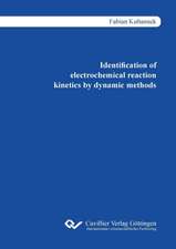 Identification of electrochemical reaction kinetics by dynamic methods