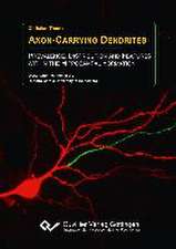 Axon-Carrying Dendrites. Prevalence, Distribution and Features within the Hippocampal Formation