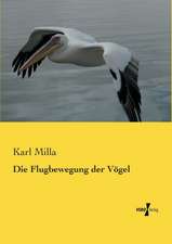 Die Flugbewegung der Vögel