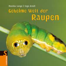 Geheime Welt der Raupen