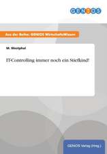 IT-Controlling immer noch ein Stiefkind!