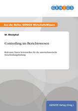 Controlling im Berichtswesen