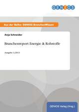 Branchenreport Energie & Rohstoffe