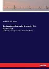 Der ägyptische Joseph im Drama des XVI. Jahrhunderts