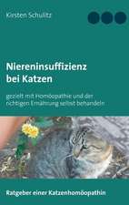 Niereninsuffizienz bei Katzen